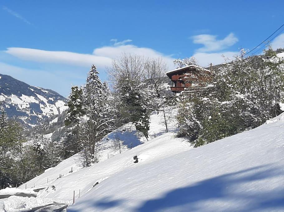 Alpine Cottage With Exceptional View マイヤーホーフェン エクステリア 写真